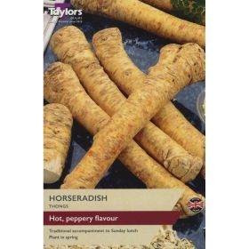 Horseradish - Pack of 2